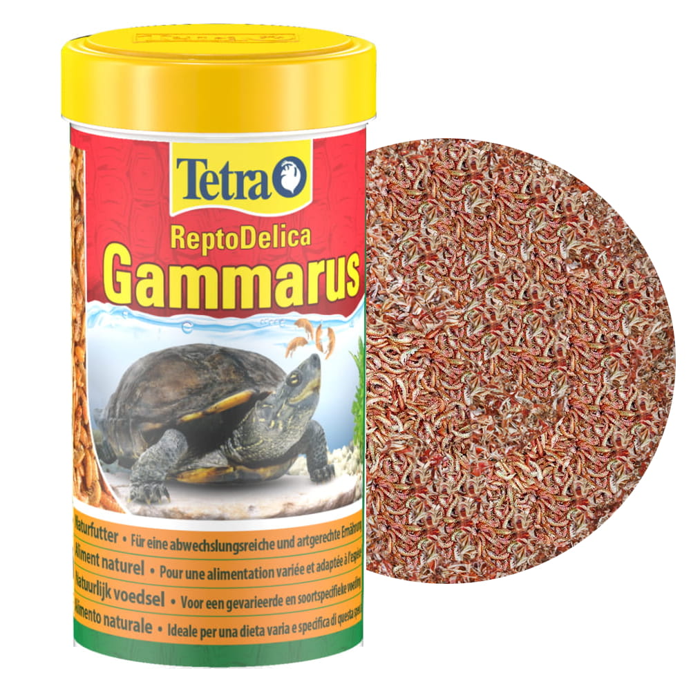 kiełż suszony — kopia.JPG